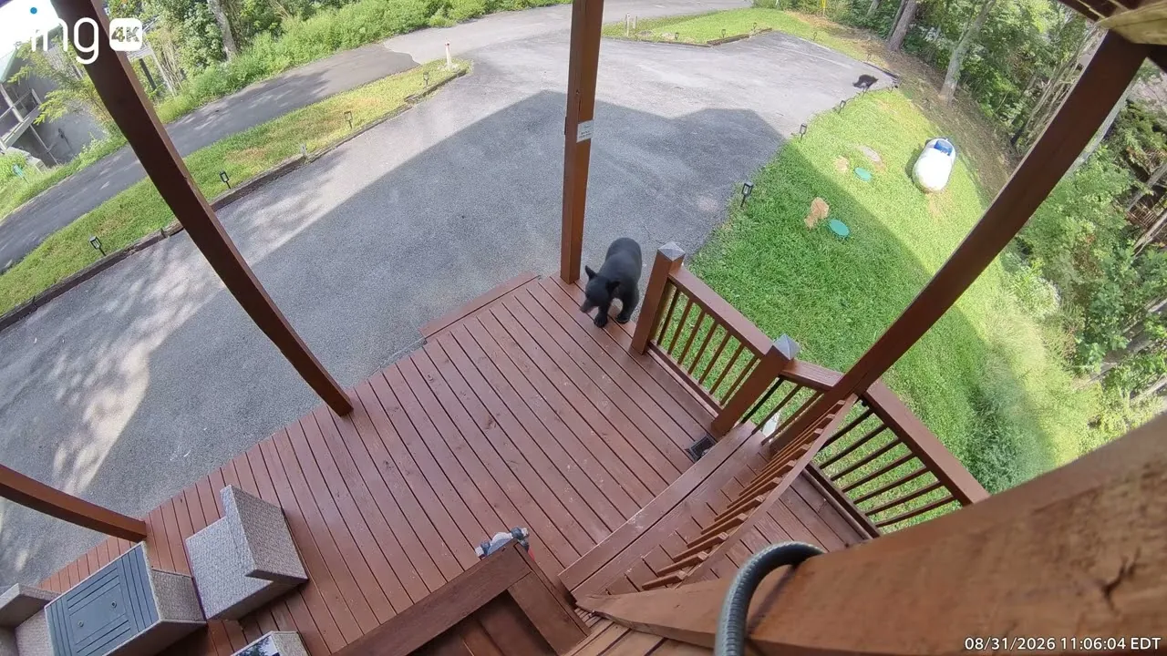 Still from the video: On the front deck, August 31